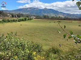  Land for sale in Cotacachi, Imbabura, Quiroga, Cotacachi