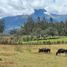  Terreno (Parcela) en venta en Cotacachi, Imbabura, Quiroga, Cotacachi