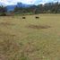  Land for sale in Imbabura, Quiroga, Cotacachi, Imbabura