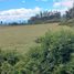  Land for sale in Quiroga, Cotacachi, Quiroga