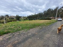  Terreno (Parcela) en venta en Baños, Cuenca, Baños