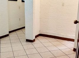 2 Bedroom Condo for rent in Miguel Hidalgo, Mexico City, Miguel Hidalgo, Mexico City