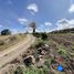  Terrain for sale in El Tambo, Catamayo, El Tambo