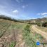  Land for sale in Catamayo, Loja, El Tambo, Catamayo