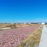  Land for sale in Silao, Guanajuato, Silao