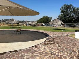  Land for sale in Silao, Guanajuato, Silao