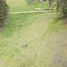  Land for sale in Tarqui, Azuay, Tarqui