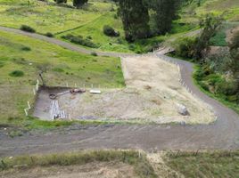  Terrain for sale in Nulti, Cuenca, Nulti