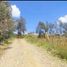  Land for sale in Azuay, Nulti, Cuenca, Azuay