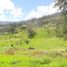  Terrain for sale in Azuay, Nulti, Cuenca, Azuay