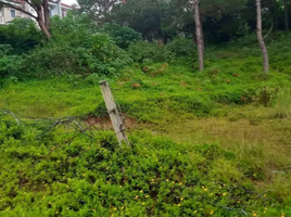  Land for sale in Cordillera, Baguio City, Benguet, Cordillera