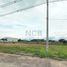  Land for sale in Palermo, Huila, Palermo