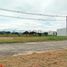  Land for sale in Palermo, Huila, Palermo