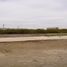  Land for sale in Lambayeque, Lambayeque, Lambayeque, Lambayeque, Lambayeque