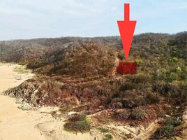  Land for sale in Dist Pochutla, Oaxaca, Dist Pochutla