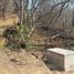  Land for sale in Dist Pochutla, Oaxaca, Dist Pochutla