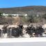  Land for sale in El Marques, Queretaro, El Marques