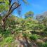  Terreno (Parcela) en venta en Zapopan, Jalisco, Zapopan, Jalisco