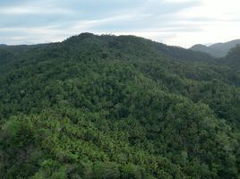  Grundstück zu verkaufen in Camarines Sur, Bicol, Bato, Camarines Sur