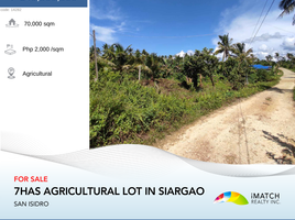  Grundstück zu verkaufen in San Isidro, Caraga, San Isidro