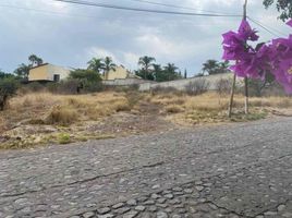  Grundstück zu verkaufen in Corregidora, Queretaro, Corregidora