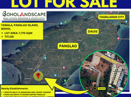  Grundstück zu verkaufen in Panglao, Central Visayas, Panglao