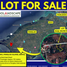  Land for sale in Panglao, Central Visayas, Panglao, Bohol