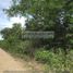  Land for sale in Panglao, Central Visayas, Panglao, Bohol