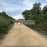  Land for sale in Panglao, Central Visayas, Panglao, Bohol