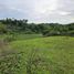  Land for sale in Inabanga, Bohol, Inabanga