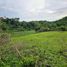  Land for sale in Inabanga, Bohol, Inabanga