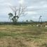  Land for sale in Calamba City, Calabarzon, Calamba City