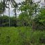  Land for sale in Sagbayan, Central Visayas, Sagbayan, Bohol