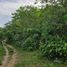  Land for sale in Sagbayan, Central Visayas, Sagbayan, Bohol