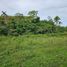  Land for sale in Sagbayan, Central Visayas, Sagbayan, Bohol