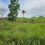  Land for sale in Carmen, Central Visayas, Carmen