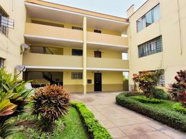 Appartement 3 chambre à vendre à Surquillo, Lima, Surquillo, Lima, Lima