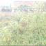  Land for sale in Santa Rosa De Cabal, Risaralda, Santa Rosa De Cabal