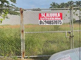  Land for rent in Guayaquil, Guayas, Guayaquil, Guayaquil