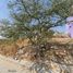  Land for sale in Zapopan, Jalisco, Zapopan, Jalisco