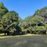 Land for sale in Candelaria, Central Luzon, Candelaria