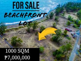  Land for sale in Zambales, Central Luzon, Candelaria, Zambales