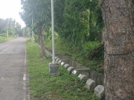  Grundstück zu verkaufen in Tiaong, Calabarzon, Tiaong