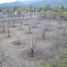  Land for sale in Villaldama, Nuevo Leon, Villaldama