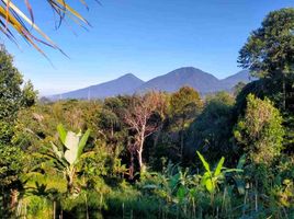  Terreno (Parcela) en venta en Bali, Baturiti, Tabanan, Bali