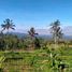  Grundstück zu verkaufen in Tabanan, Bali, Baturiti, Tabanan