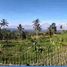  Grundstück zu verkaufen in Tabanan, Bali, Baturiti, Tabanan