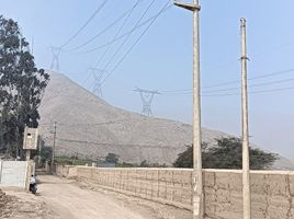  Land for sale in Pachacamac, Lima, Pachacamac