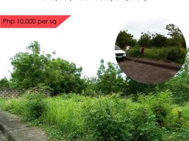  Land for sale in Crimson Beach side, Lapu-Lapu City, Lapu-Lapu City