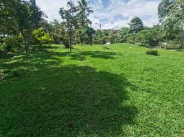  Terreno (Parcela) en venta en Fusagasuga, Cundinamarca, Fusagasuga